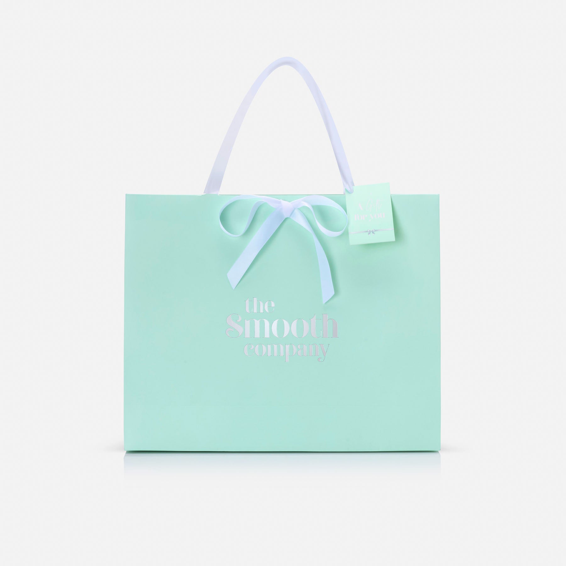 Large Gift Bag